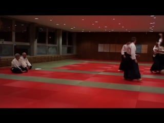 Aikido dan examination shodan, nidan