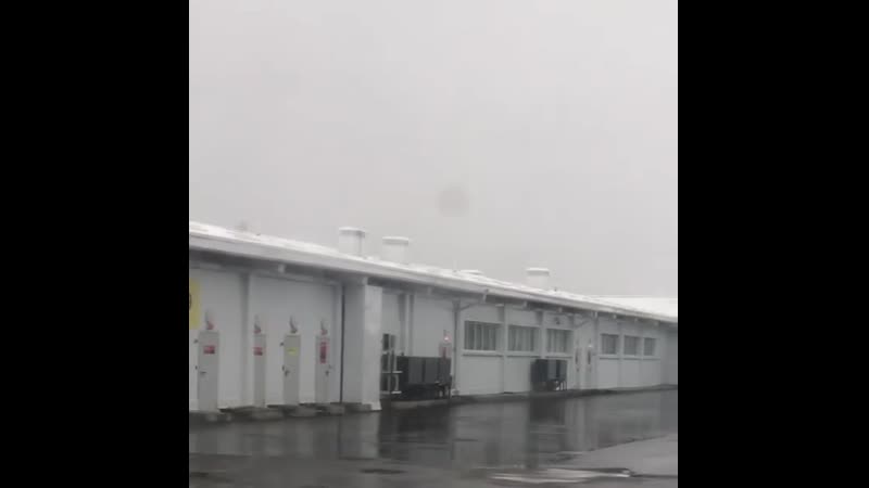 Владилен вяжевич нихера не весело