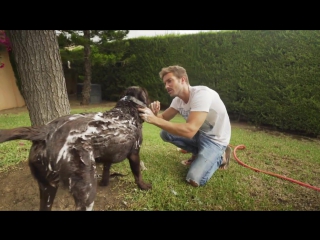 Видео 3 pablo alboran con terral #micasaeslatuya