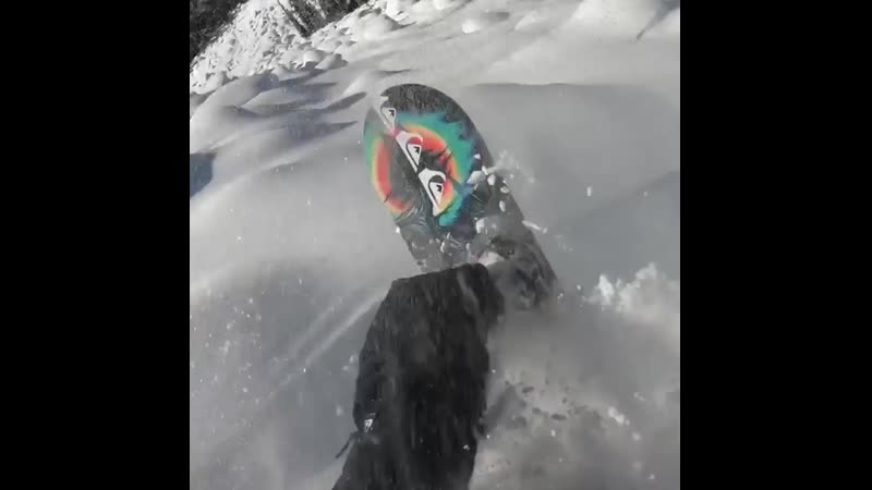Serious fun by 🏂 austen sweetin