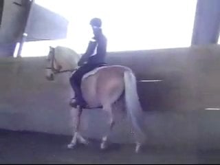 Part 1 of the riding lesson ~ using the leg ~ 1 of 5 parts with jp giacomini