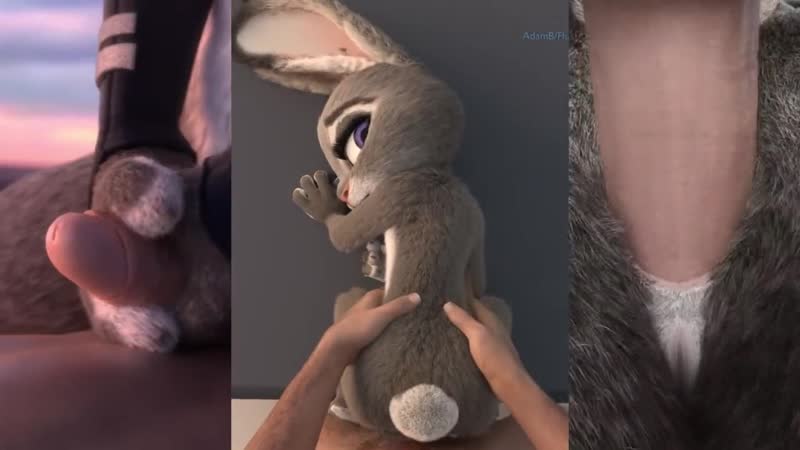 Зверополис❤