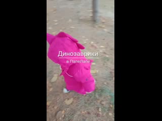 Video 20201018 181044 mp4