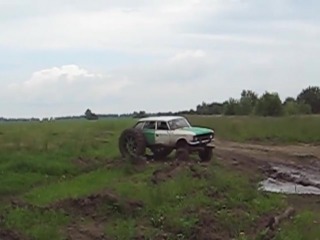 Лягушка в среде обитания (russian tracktor)