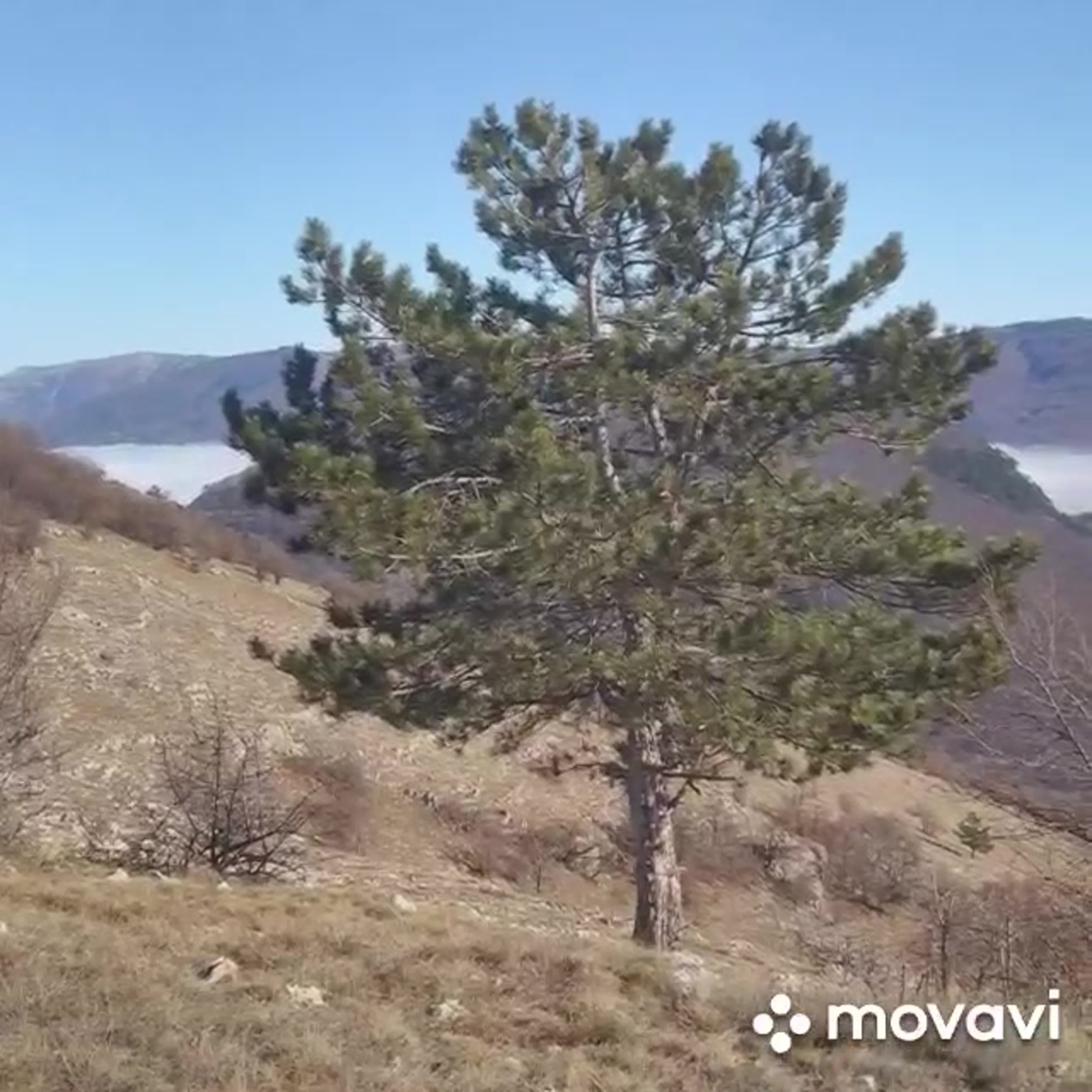 Видео от треккинг, походы, фитнес, в движении