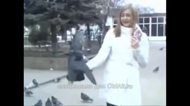 Alkogol and shkolnicy