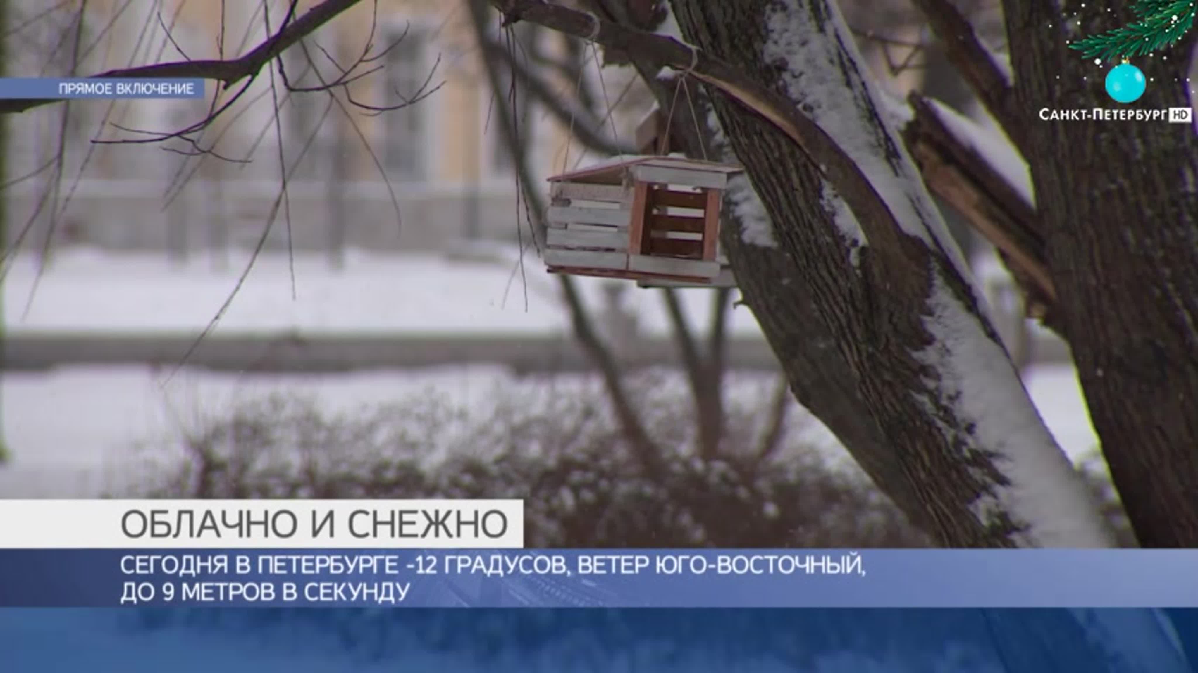 Надолго ли пришли морозы