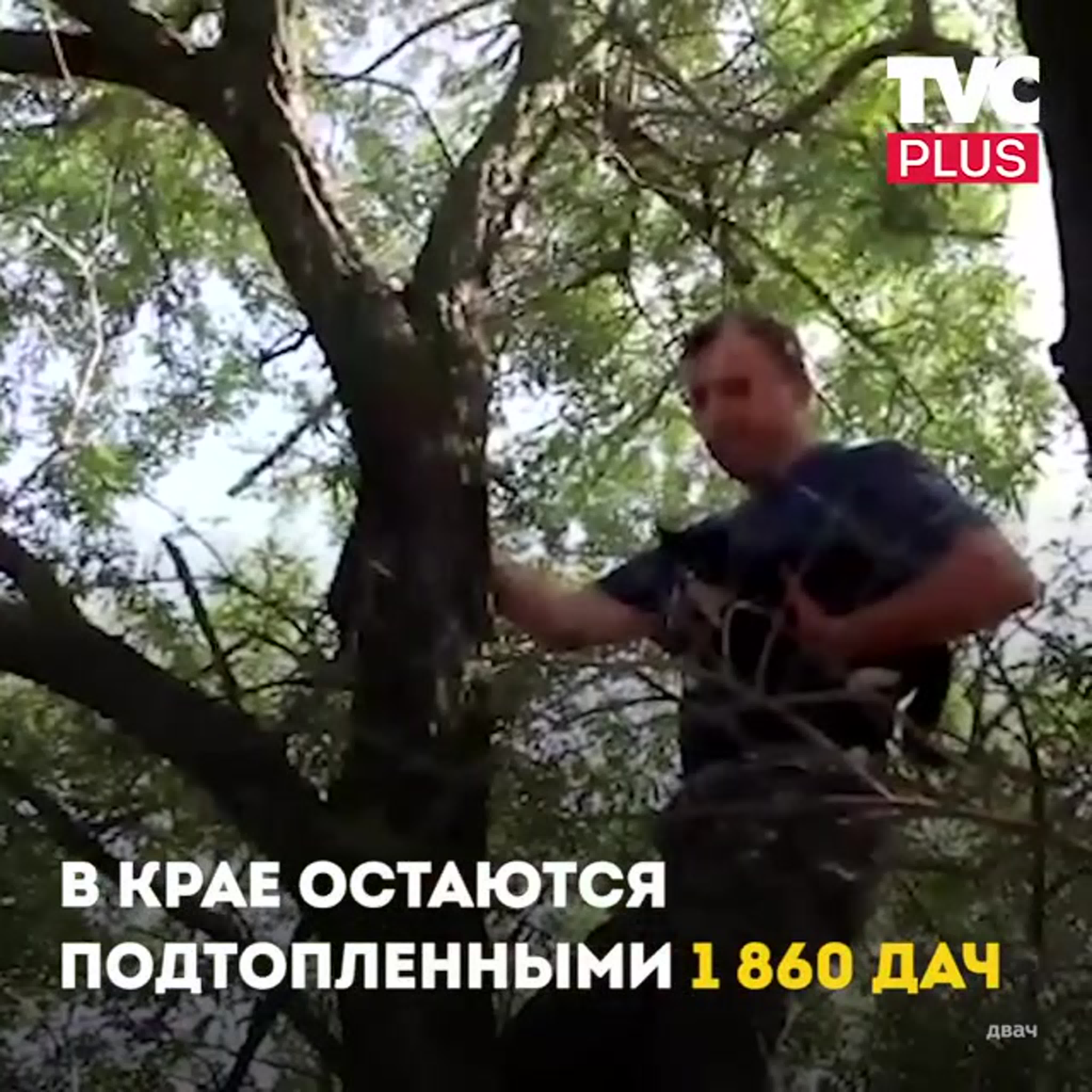 инцест arhivach Сотрудники мчс спасают котиков porn video on BrownPorn