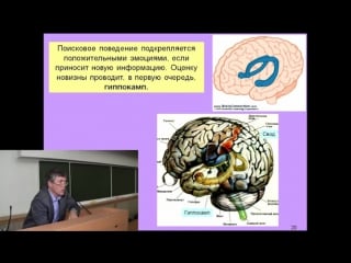 Дубынин вячеслав мозг и новая информация