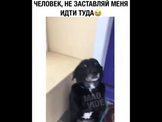 Ты серьёзно, бро?