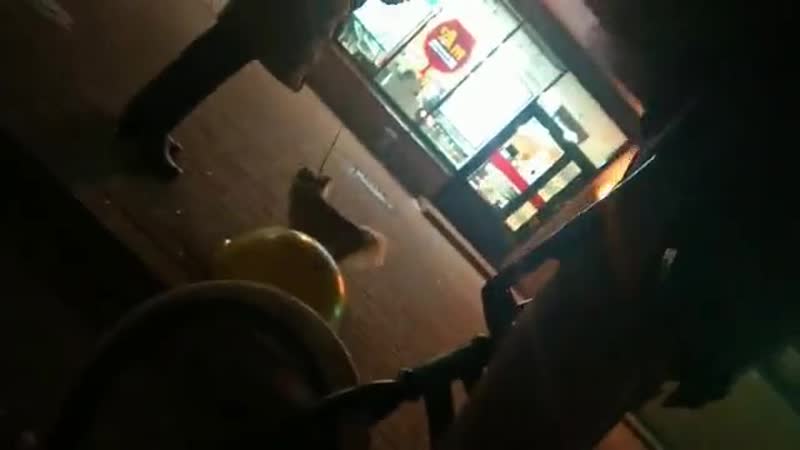 Родившемуся в феврале 2004 года автору видео не понравилось замечание барышни с собачкой