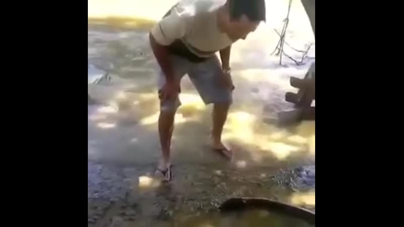 Кошачьи повадки