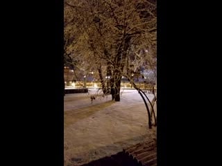 Vid 20200111 181759 mp4