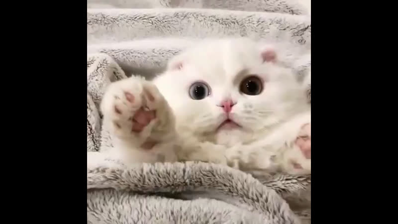 Когда клиентка впервые пришла на наращивание ресниц 🙈😅