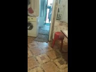 Vid 20190402 103552 mp4