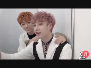Stray porn | han jisung & bang chan & lee minho watch online