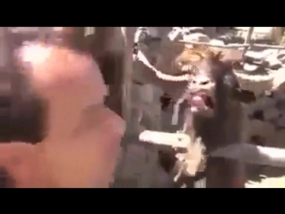 С добрым утром)))) улыбнись смех ржака взрослый смоленск