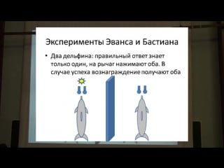 Киты и дельфины нечеловеческий интеллект филатова о а