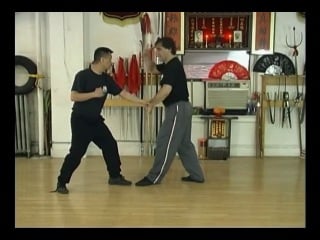 Концепции багуачжан (tom bisio) / bagua concepts v 1