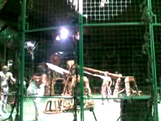 "дикий мир джунглей и люди звери" гия эрадзе и людмила суркова