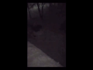 Удачное сальто