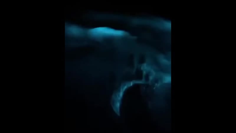 Планктон биолюминесцентный (vhs video)