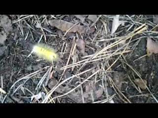 Vid 20200831 162219 mp4