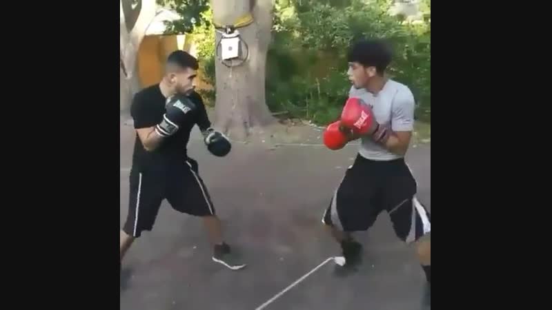 Закусились на заднем дворе