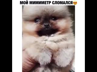 Соберем максимальное количество лайков❤