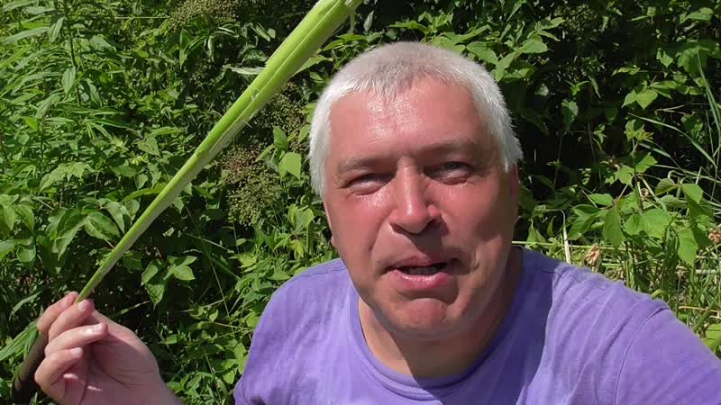 Супер видео, я индеец камыш и геннадий горин