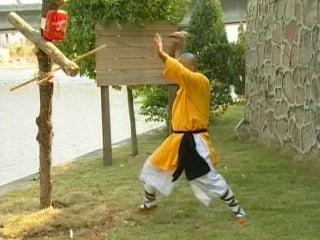 Шаолинские одиночные нунчаку (shaolin single nunchaku)