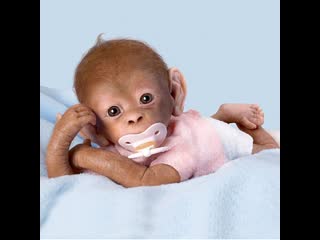 Маленькая обезьянка 🐵 очаровательная малышка дженни 💢 adorable lil jannie