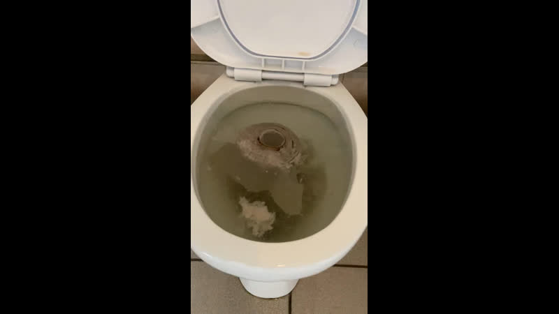 Засор в школьном туалете