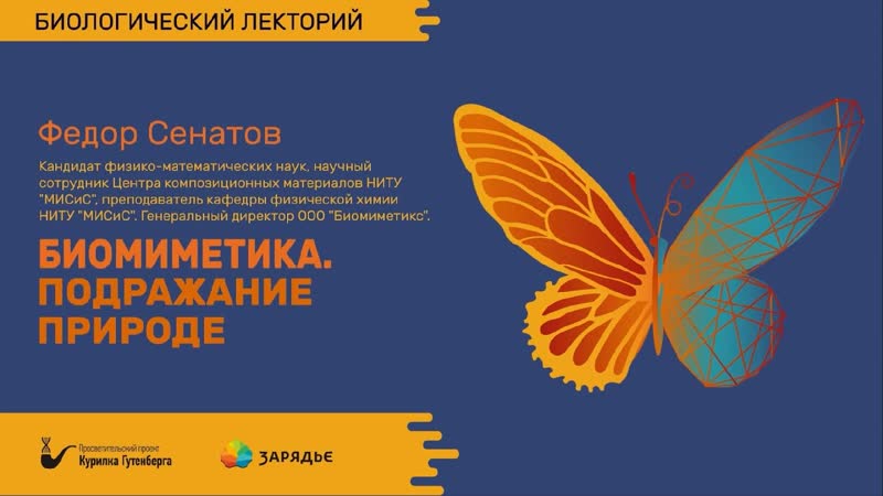 Биомиметика подражание природе