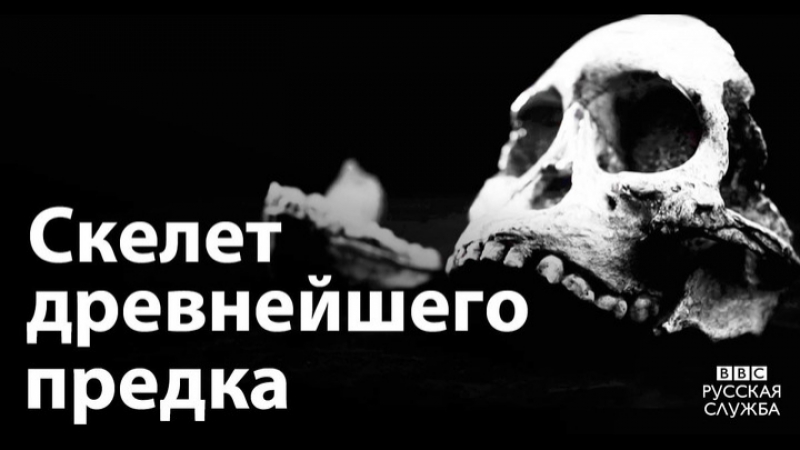 "маленькая нога" древнейший скелет человеческого предка