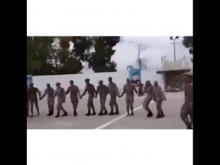 👌dabke everywhere