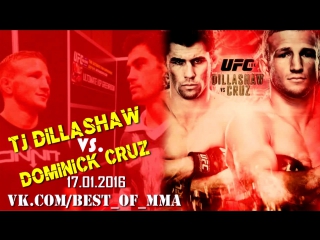 Tj dillashaw vs dominick cruz