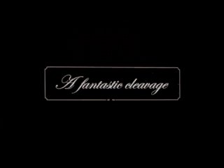 Wonderbra by dita von teese