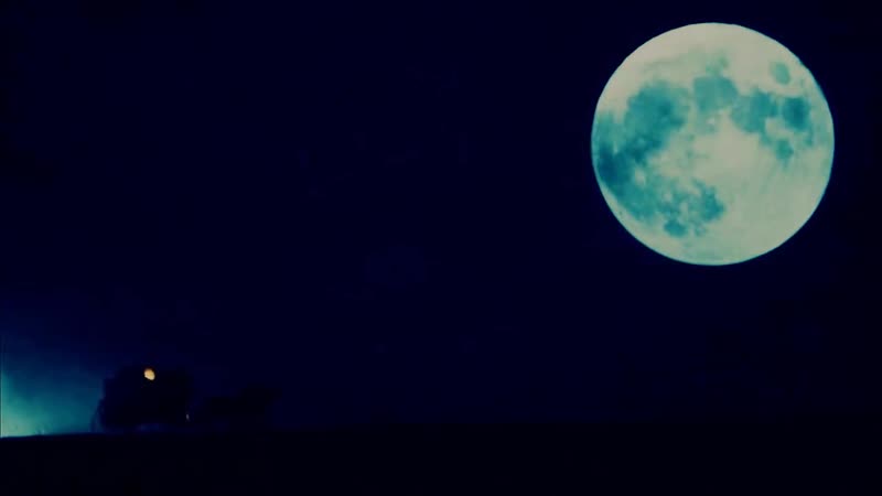 Что ты делаешь рою ямку