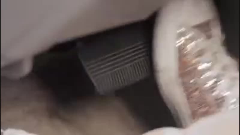 Соблюдай пдд