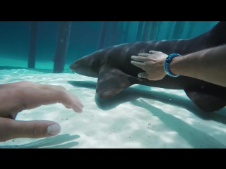 Lokai exploring our oceans with jay alvarrez