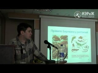 Максим винарский правило бергмана