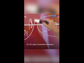 Как появляется рак шейки матки в организме?