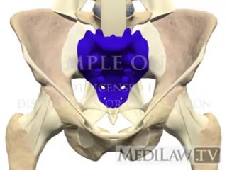 Pelvic anatomy sacro iliac joint physical therapy animations