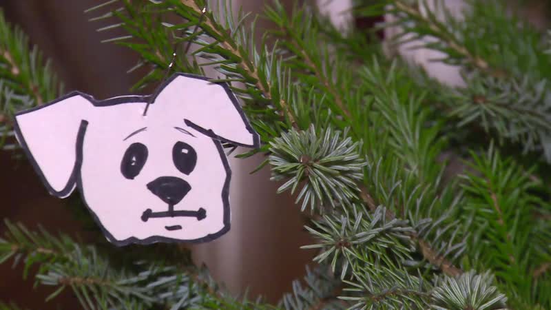 «ни у молодые, ни у гуманизма нет национальности»