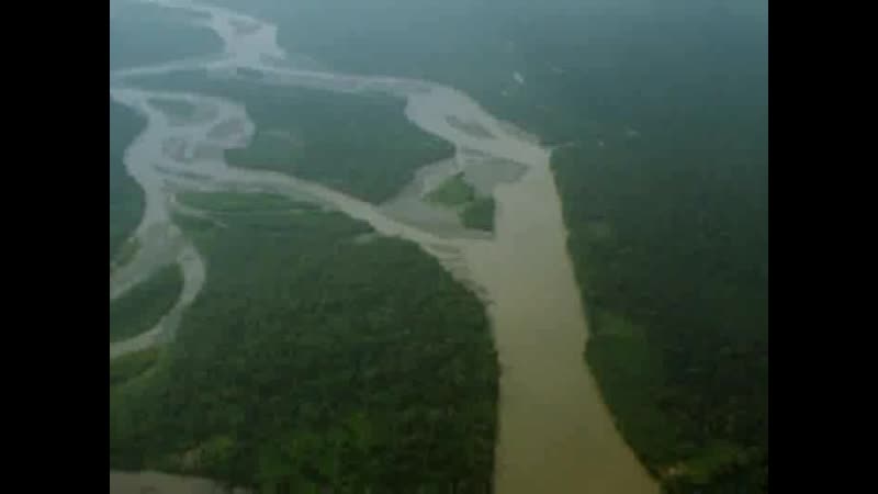 Bbc south america 2 velikaya amazonka