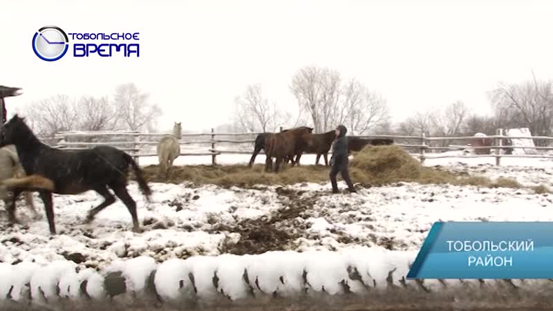 Сельские предприниматели