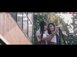 Тай синь 2018