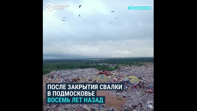 Как жители александрова охраняют город от московского мусора