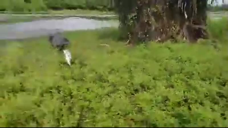 Ну нафиг такую рыбалку